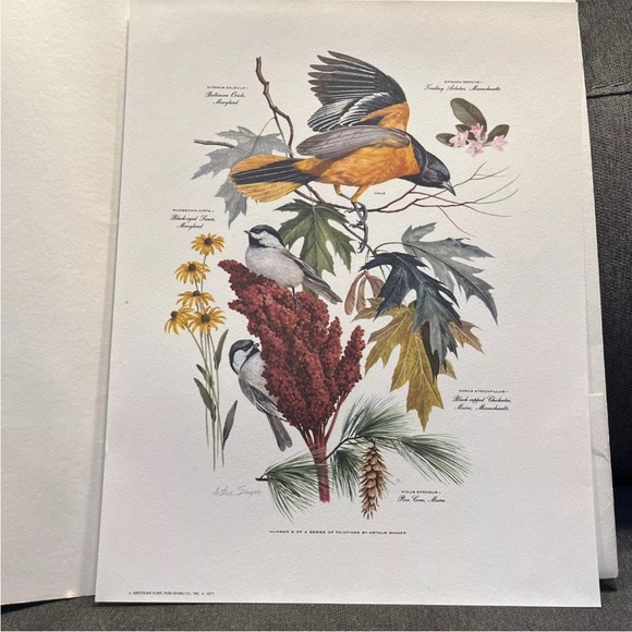 Vintage Arthur Singer Bird Prints Set Of 8 - Picture 10 of 13
